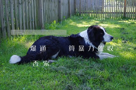 爆通訊錄算暴力催收嗎-爆通訊錄違法嗎?能否索賠