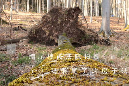爛尾樓被法院拍賣(mài)可以買(mǎi)嗎(爛尾了的房子法院能拍賣(mài)嗎)