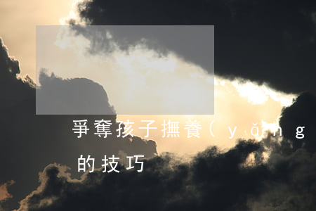 爭奪孩子撫養(yǎng)權(quán)的技巧