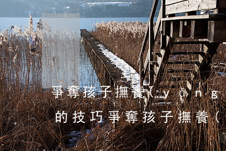 爭奪孩子撫養(yǎng)權(quán)的技巧(爭奪孩子撫養(yǎng)權(quán)的技巧5歲)