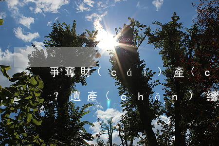 爭奪財(cái)產(chǎn)都是套路？遺產(chǎn)繼承的常見法律問題匯總