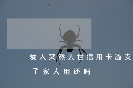 爱人突然去世信用卡透支(信用卡透支了人死了家人用还吗)