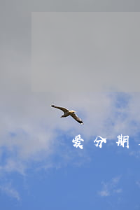 爱分期是真的吗（爱分趣信用卡免息分期）