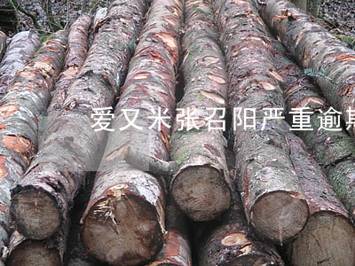 爱又米张召阳严重逾期