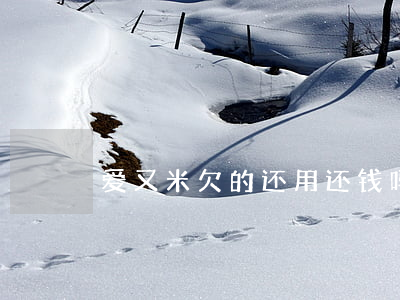 爱又米欠的还用还钱吗(爱又米还下款吗)