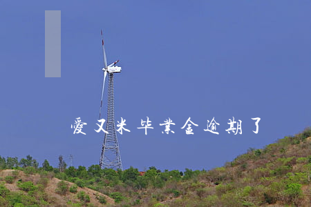 爱又米毕业金逾期了