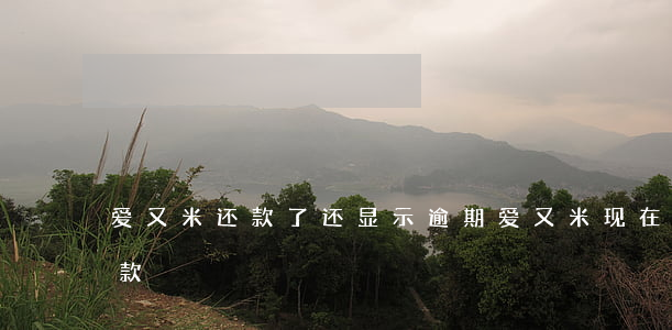 爱又米还款了还显示逾期(爱又米现在怎么还款)