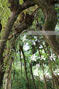 爱又米逾期一年了 爱又米逾期了一年怎么办 爱又米逾期最多拖多久