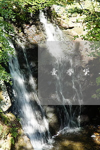 爱学贷逾期一个月 学贷逾期怎么办