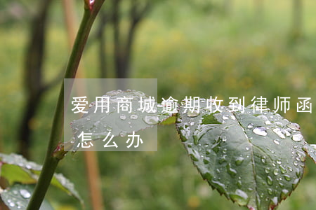 爱用商城逾期收到律师函(爱用商城发律师函怎么办)