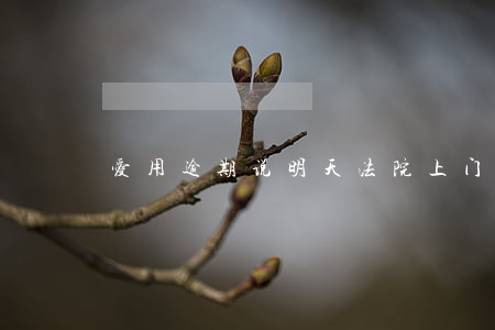 爱用逾期说明天法院上门是真的吗