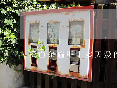 爱白条逾期十多天没催收 爱白条不催收了
