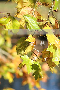 爱租机平台逾期会给单位打电话吗-爱租机平台逾期会给单位打电话吗是真的吗