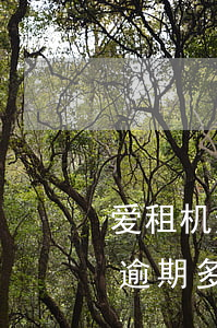 爱租机逾期多久会给联系人打电话-爱租机逾期多久会给联系人打电话呢