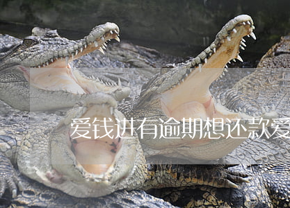 爱钱进有逾期想还款(爱钱进还款正常了吗)
