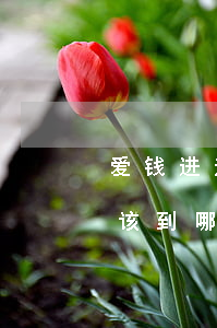 爱钱进逾期会被起诉(爱钱进逾期不兑付!应该到哪里报案)