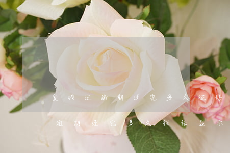 爱钱进逾期还完多久征信显示结清-爱钱进逾期还完多久征信显示结清了