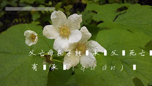 父亡母在子能繼承嗎(父親死亡兒子死亡兒媳有繼承權(quán)嗎)