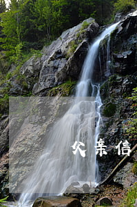父亲信用卡欠几十万(父亲欠了信用卡)