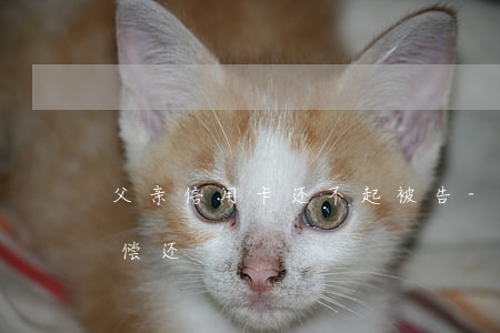 父亲信用卡还不起被告-父亲欠信用卡无力偿还