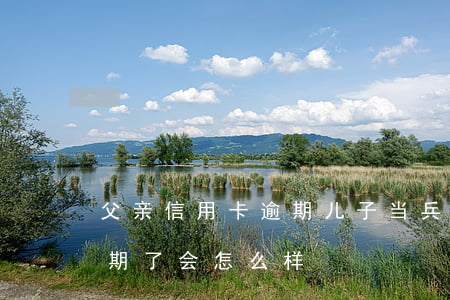 父亲信用卡逾期儿子当兵-当兵的信用卡逾期了会怎么样?