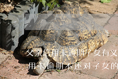 父亲信用卡逾期子女有义务偿还吗(父亲的信用卡逾期不还对子女的影响)