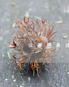 父亲债务过多怎么放弃继承