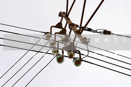 父亲去世了放弃继承怎么办理(父亲去世子女放弃继承由母亲继承)