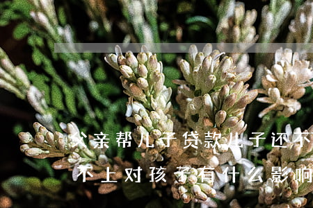 父亲帮儿子贷款儿子还不起 孩子父亲贷款还不上,对孩子有什么影响?