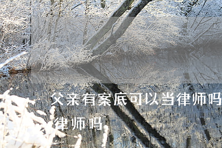 父亲有案底可以当律师吗(有刑事案底可以当律师吗)