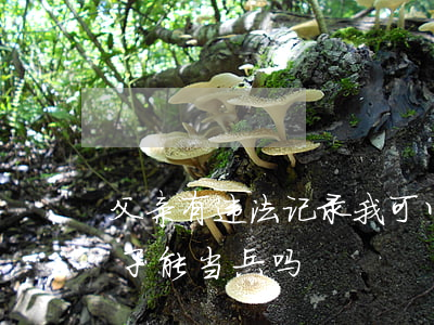 父亲有违法记录我可以当兵吗(父亲犯法了孩子能当兵吗)
