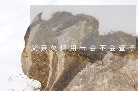 父亲欠信用卡会不会查子女账户-