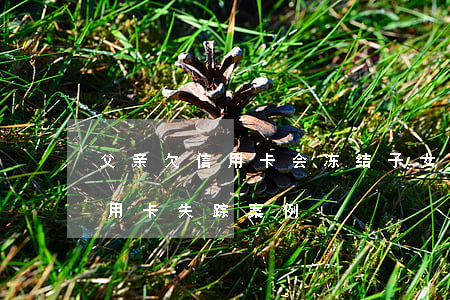 父亲欠信用卡会冻结子女财产吗（父亲欠了信用卡失踪案例）