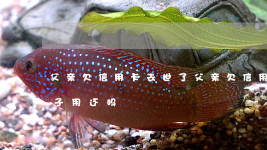 父亲欠信用卡去世了(父亲欠信用卡钱死后儿子用还吗)