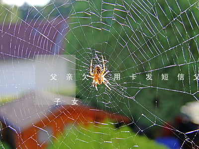 父亲欠信用卡发短信(父亲欠信用卡银行骚扰子女)