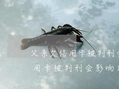 父亲欠信用卡被判刑会影响儿子-父亲欠信用卡被判刑会影响儿子吗