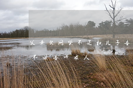 父亲欠网贷不还和儿子告别(欠网贷还不上该不该告诉家人)