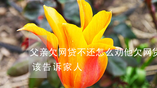 父亲欠网贷不还怎么劝他(欠网贷还不上该不该告诉家人)
