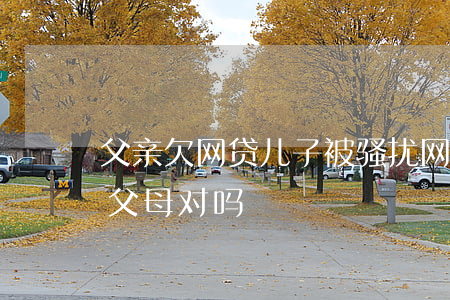 父亲欠网贷儿子被骚扰(网贷频繁骚扰欠款人父母对吗)