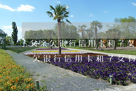 父亲欠银行信用卡和子女有什么关系-父亲欠银行信用卡和子女有什么关系吗