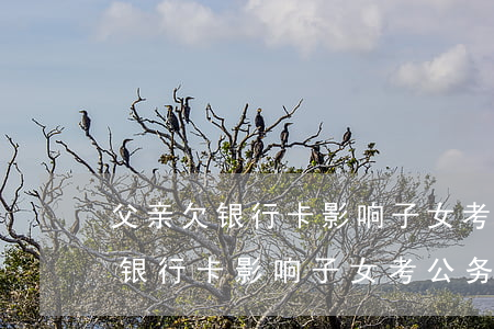 父亲欠银行卡影响子女考公务员吗-父亲欠银行卡影响子女考公务员吗知乎