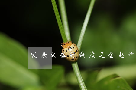 父亲欠银行钱没还会起诉吗