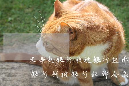 父亲欠银行钱被银行起诉会怎么样-父亲欠银行钱被银行起诉会怎么样吗