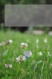 父亲留下的房产没有遗嘱怎么分(房产没有立遗嘱怎么分配)