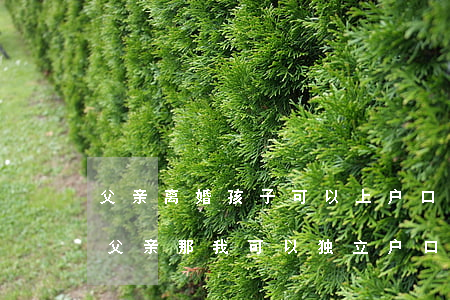 父亲离婚孩子可以上户口吗(父母离婚户口在父亲那我可以独立户口吗)