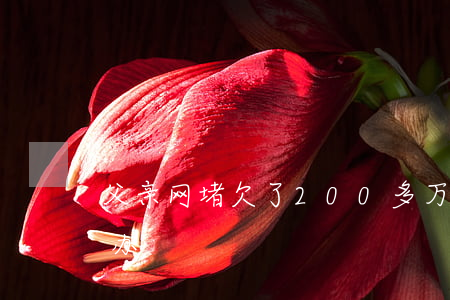父亲网堵欠了200多万网贷(网贷欠款怎么办)
