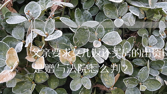 父亲要求女儿返还买房的出资，母亲出庭作证是赠与，法院怎么判？