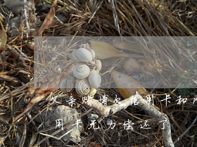 父亲赌博欠信用卡和网贷(赌博输钱欠网贷信用卡 无力偿还了)