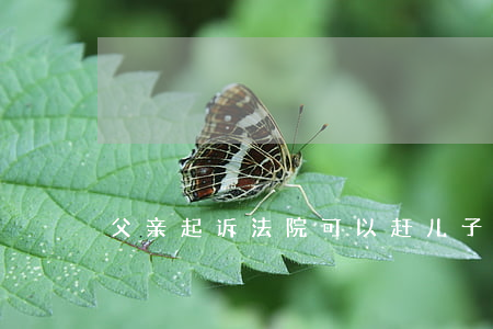 父亲起诉法院可以赶儿子出门吗