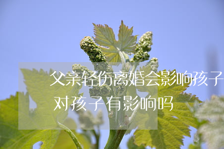 父亲轻伤离婚会影响孩子吗(离婚后父亲犯法对孩子有影响吗)